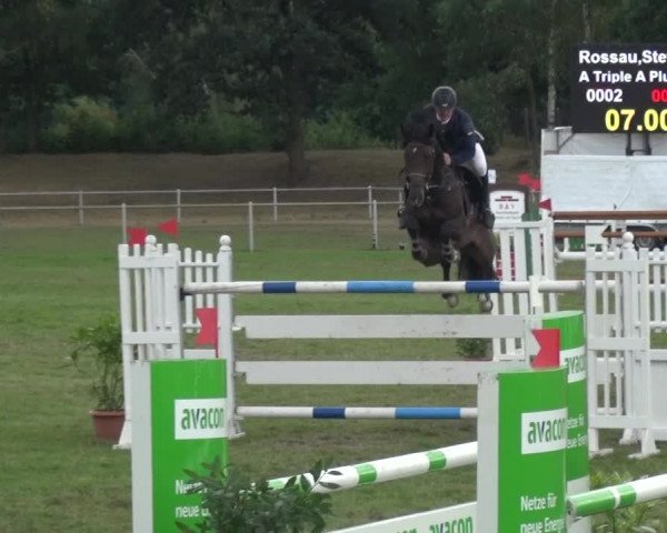 Reitturnier Gardelegen 2016