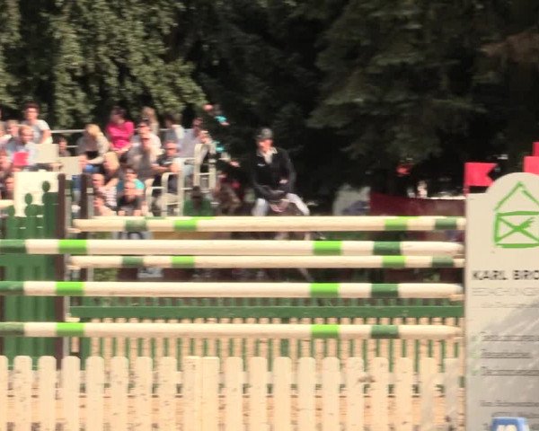 Waltroper Reitertage 2016