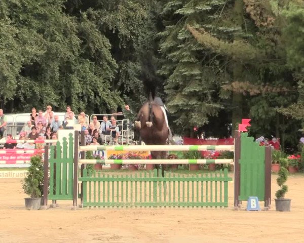 Waltroper Reitertage 2016