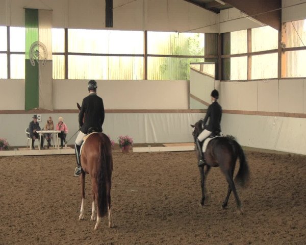 Waltroper Reitertage 2016