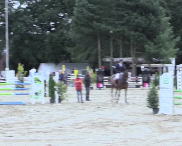 Waltroper Reitertage 2016