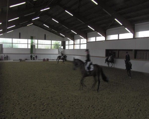 Waltroper Reitertage 2016
