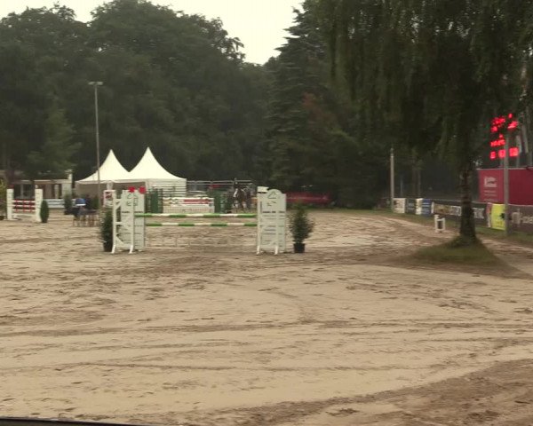 Waltroper Reitertage 2016