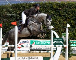 jumper Hollywood 65 (Rhinelander, 2014, from Hermes de Lux)