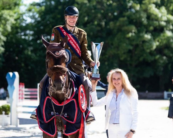 broodmare Chimaira Pj (Hanoverian, 2009, from Chacco-Blue)