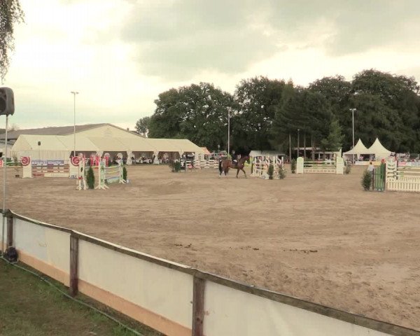Waltroper Reitertage 2016