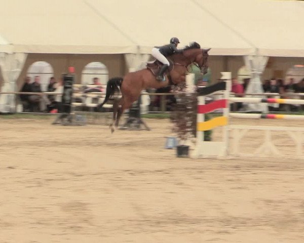 Waltroper Reitertage 2016