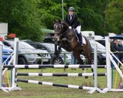 jumper Power Palina (Hanoverian, 2014, from Perigueux)
