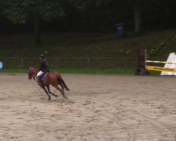 Reitturnier Neunkirchen-Salchendorf 2016