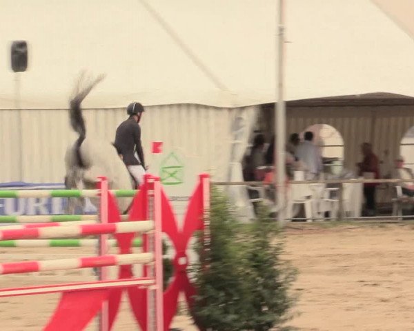 Waltroper Reitertage 2016