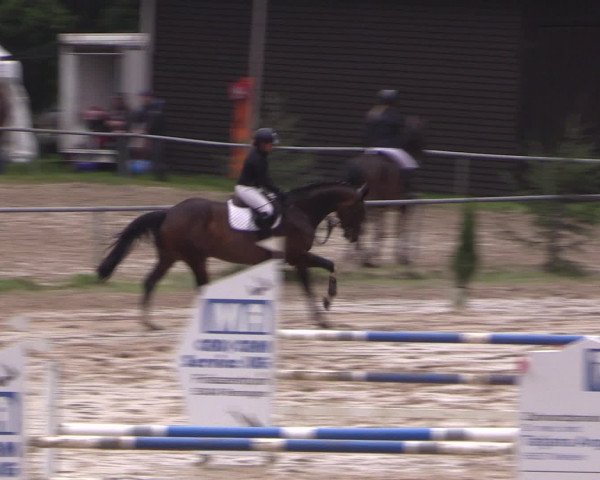 Reitturnier Neunkirchen-Salchendorf 2016