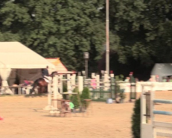 Waltroper Reitertage 2016