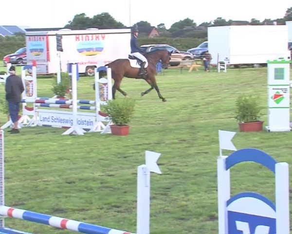 Reitturnier Behrendorf 2016