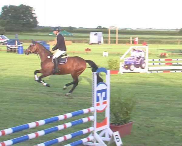 Reitturnier Behrendorf 2016
