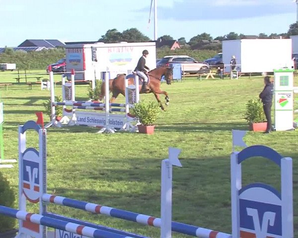Reitturnier Behrendorf 2016