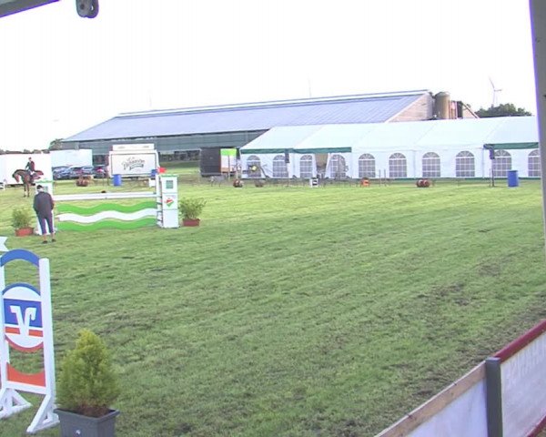 Reitturnier Behrendorf 2016
