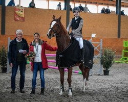 Springpferd Beloperone (KWPN (Niederländisches Warmblut), 2006, von Lacco Ameno)