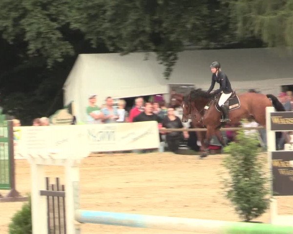 Waltroper Reitertage 2016