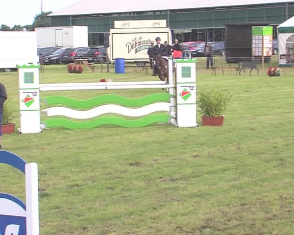 Reitturnier Behrendorf 2016