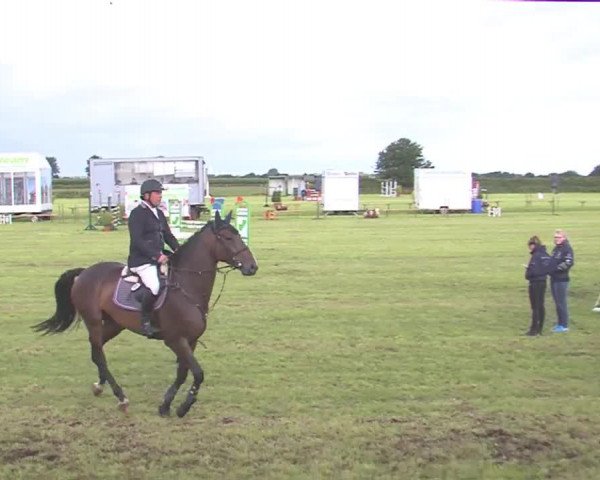 Reitturnier Behrendorf 2016