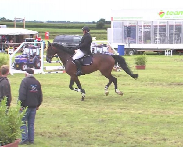 Reitturnier Behrendorf 2016