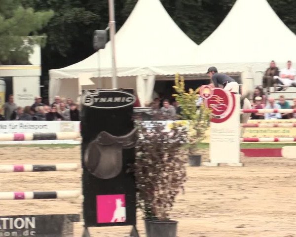 Waltroper Reitertage 2016