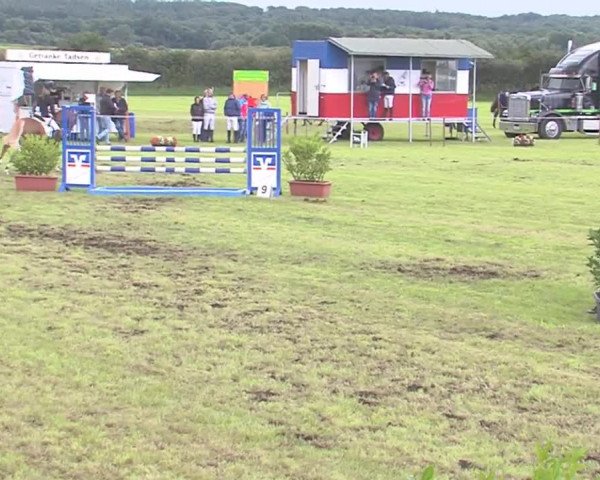 Reitturnier Behrendorf 2016