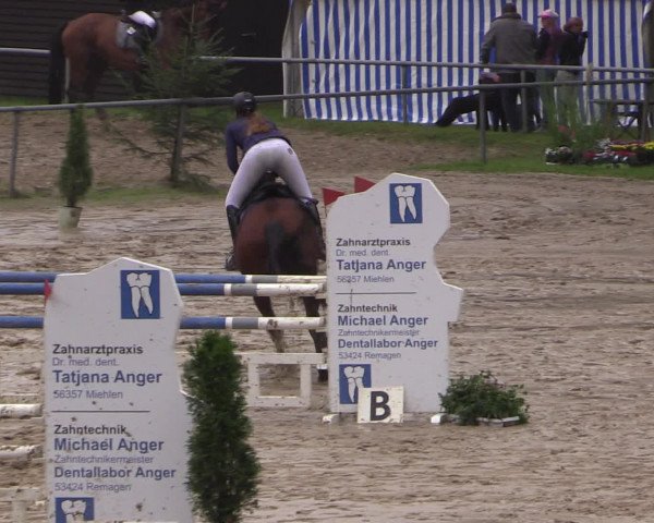 Reitturnier Neunkirchen-Salchendorf 2016