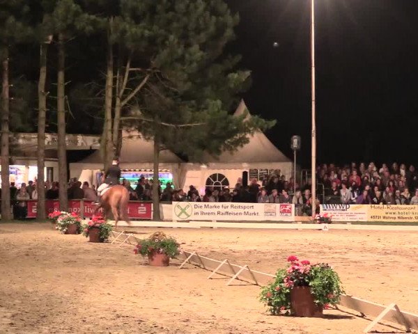 Waltroper Reitertage 2016