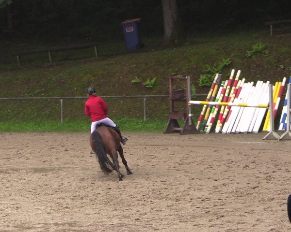 Reitturnier Neunkirchen-Salchendorf 2016