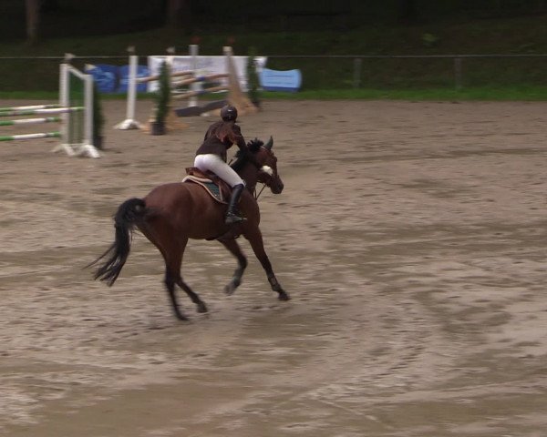 Reitturnier Neunkirchen-Salchendorf 2016
