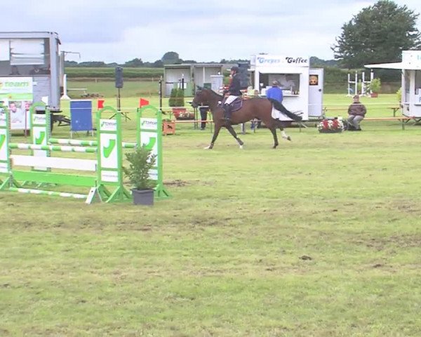 Reitturnier Behrendorf 2016