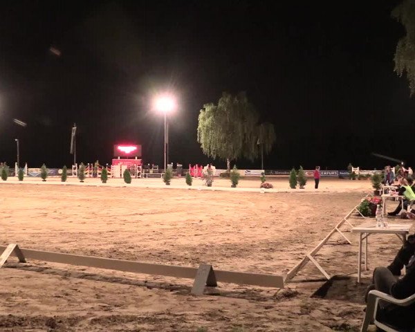 Waltroper Reitertage 2016