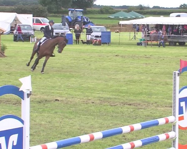 Reitturnier Behrendorf 2016