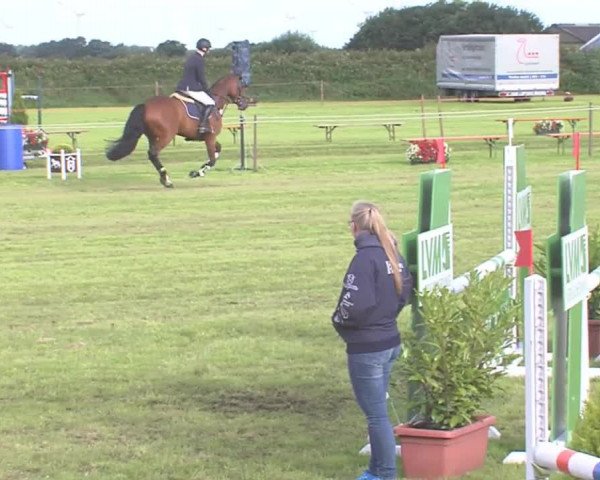 Reitturnier Behrendorf 2016