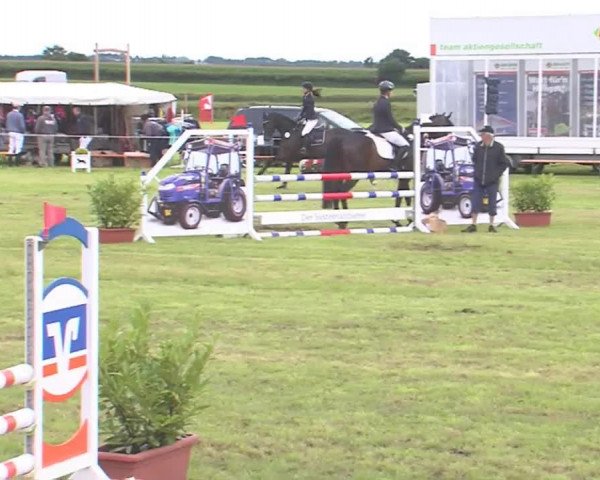 Reitturnier Behrendorf 2016