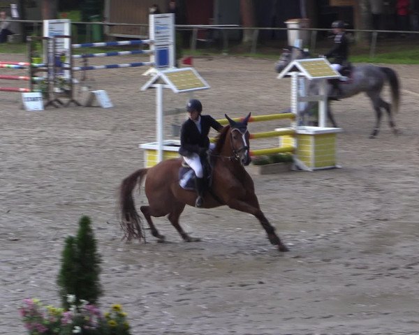 Reitturnier Neunkirchen-Salchendorf 2016