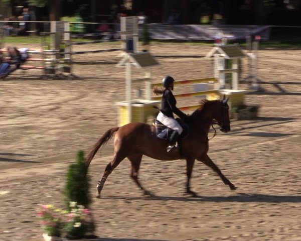 Reitturnier Neunkirchen-Salchendorf 2016