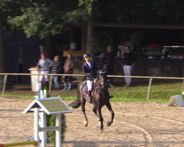 Reitturnier Neunkirchen-Salchendorf 2016