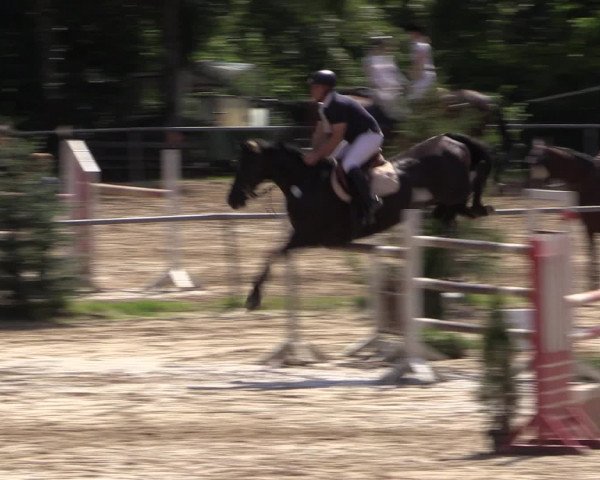 Reitturnier Neunkirchen-Salchendorf 2016