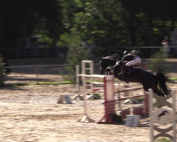 Reitturnier Neunkirchen-Salchendorf 2016