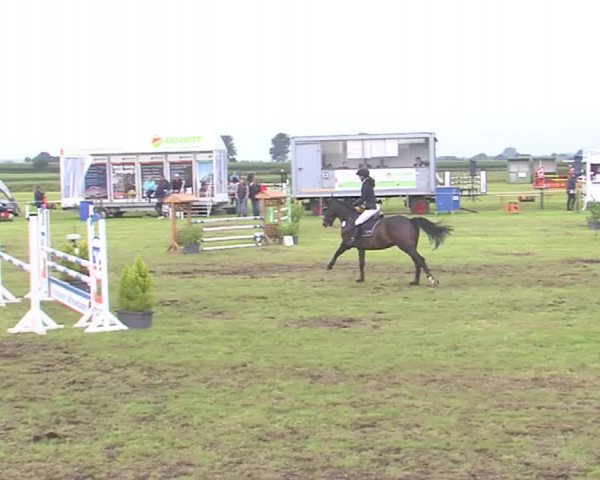 Reitturnier Behrendorf 2016