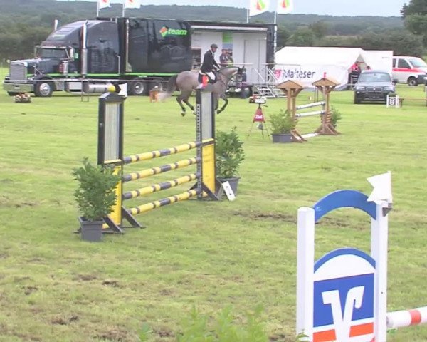 Reitturnier Behrendorf 2016