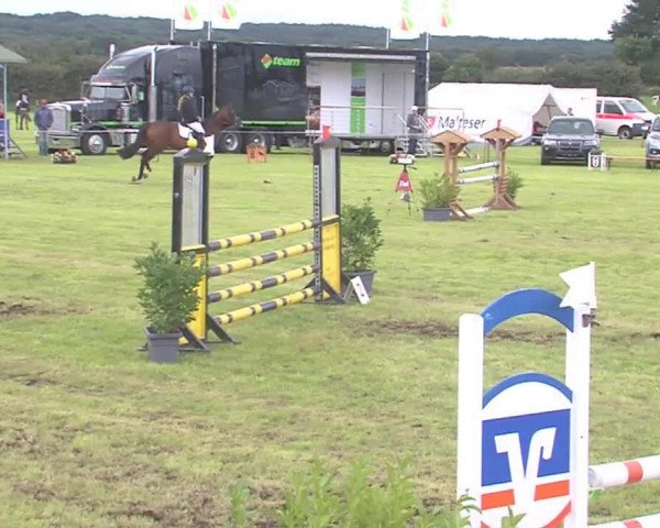 Reitturnier Behrendorf 2016