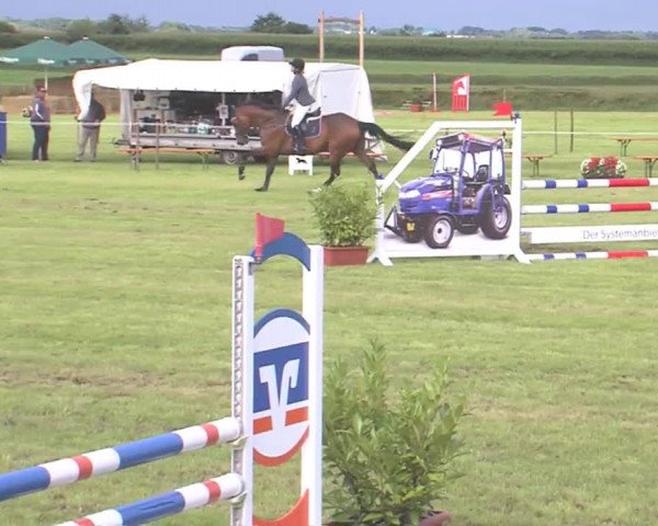 Reitturnier Behrendorf 2016