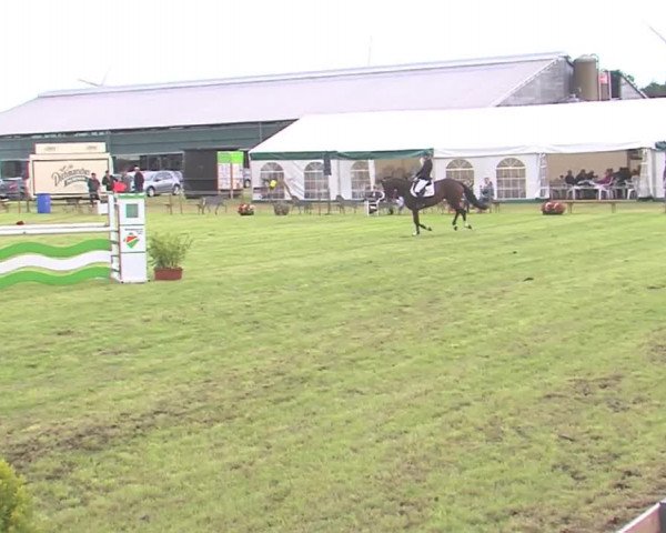 Reitturnier Behrendorf 2016