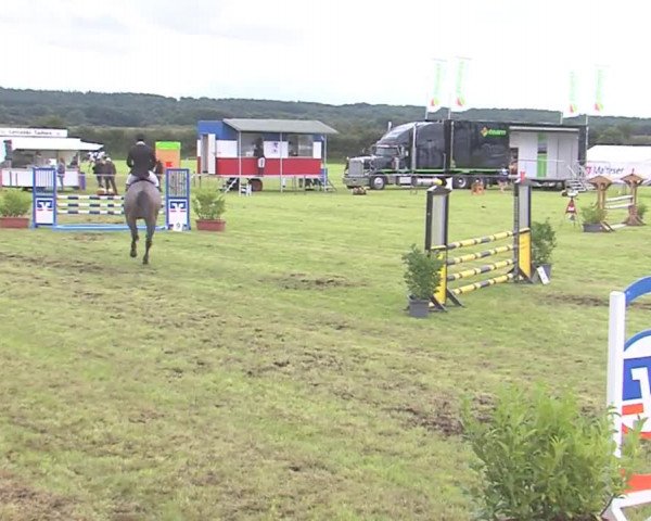 Reitturnier Behrendorf 2016