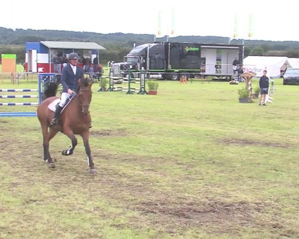 Reitturnier Behrendorf 2016