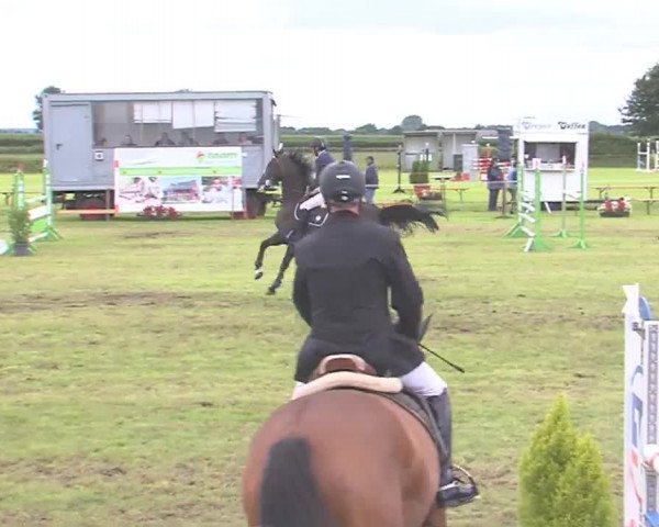 Reitturnier Behrendorf 2016