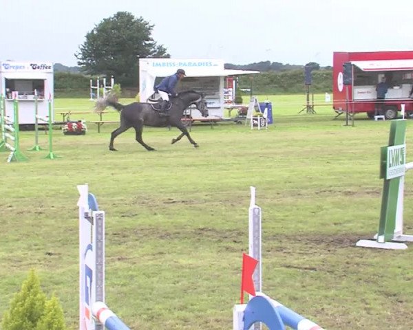 Reitturnier Behrendorf 2016